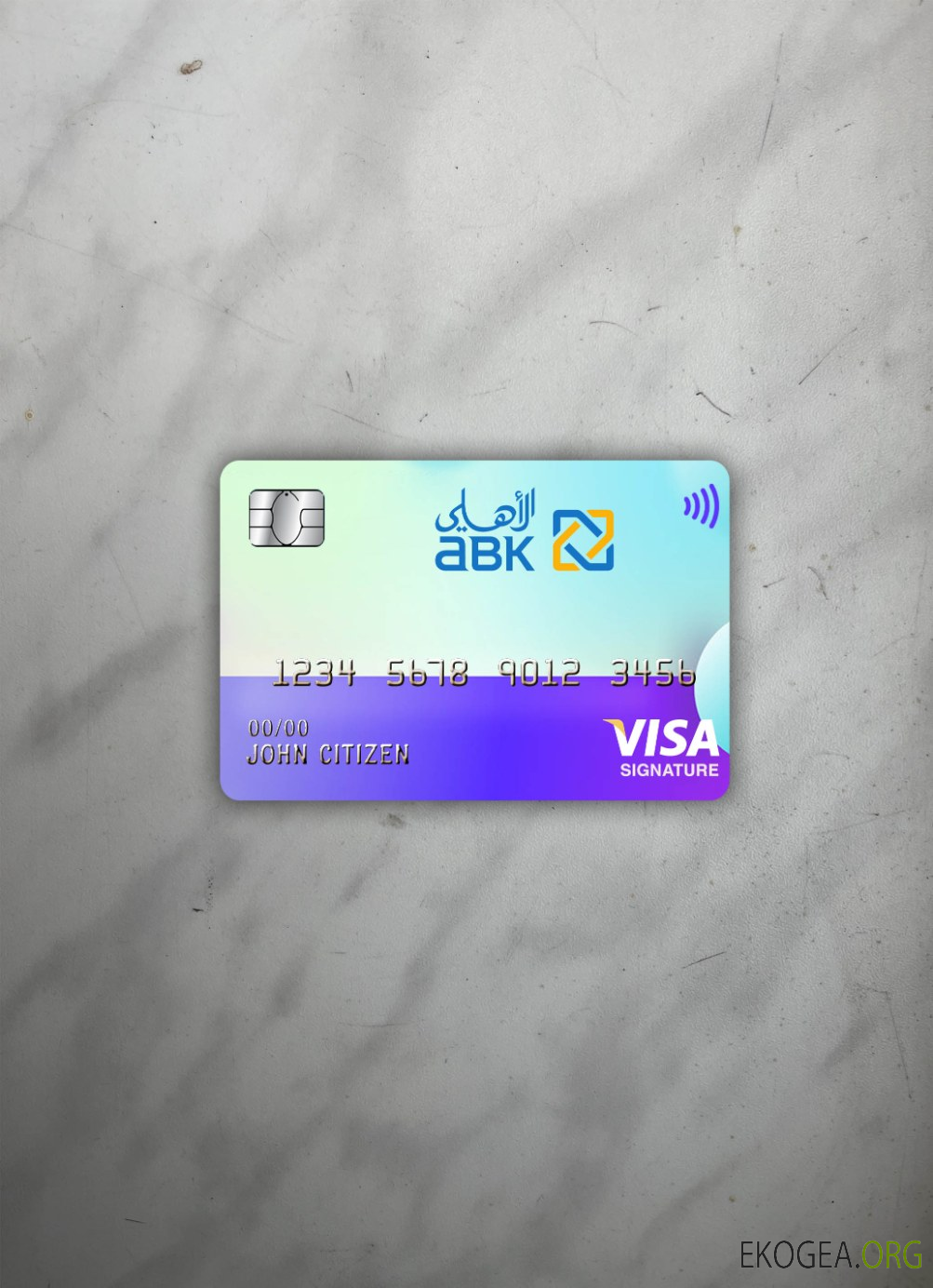 Egypte Al Ahli Bank of Koweït signature de visa photolook avant